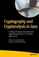 Cryptography_and_Cryptanalysis_in_Java.pdf